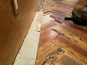 termite damaged wood floor